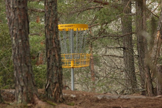 Records of the Disc Golf